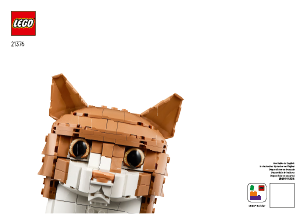 Mode d’emploi Lego set 21376 Ideas Le chat roux