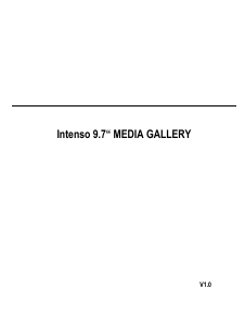 Manuale Intenso Media Gallery Cornice digitale