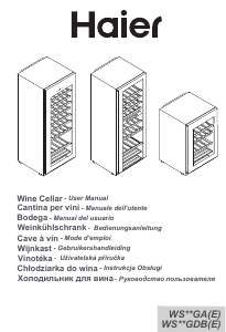 Manual de uso Haier WS46GDBE Vinoteca