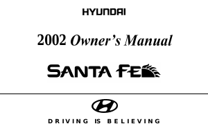 Handleiding Hyundai Santa Fe (2002)