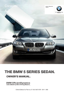 Manual BMW 528i (2011)