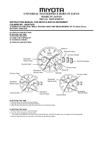 Manual de uso Daniel Steiger Legado Reloj de pulsera
