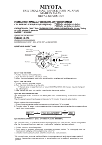 Mode d’emploi Daniel Steiger Valiant Montre