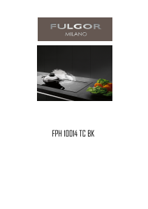 Manual Fulgor FPH 10014 TC BK Cooker Hood