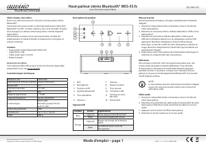 Mode d’emploi Auvisio MSS-55-fs Haut-parleur