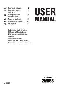 Manual Zanussi ZIE6004F Plită