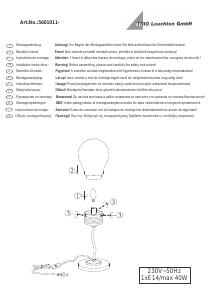 Handleiding Trio 5601011-07 Edison Lamp