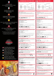 Manuale Phoenix DS2002E Casseforte