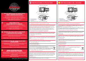 Manual Phoenix SS0721EYD Safe