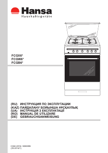 Manual Hansa FCGW63100 Aragaz