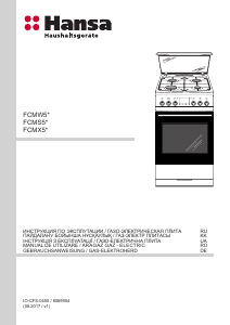 Manual Hansa FCMW58097 Aragaz