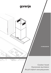 Handleiding Gorenje WHGC633E16XUK Afzuigkap