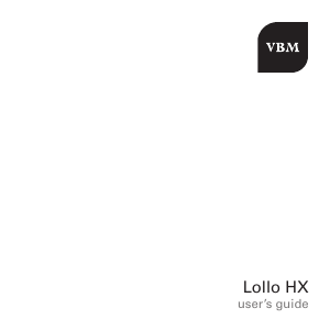 Handleiding Vibiemme Lollo HX Espresso-apparaat