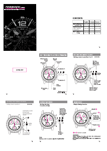 Handleiding Torgoen T16CFIP45RB Horloge