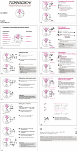 Handleiding Torgoen T33GR45M Horloge