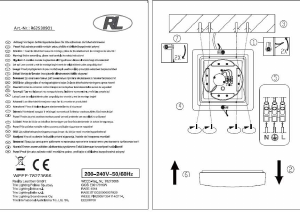 Manual Reality R62530901 Patz Lamp