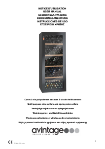 Manual Avintage DV265MGN2 Wine Cabinet