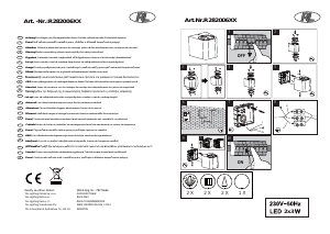 Руководство Reality R28200601 Bogota Светильник