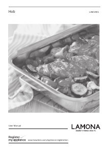 Handleiding Lamona LAM1901 Kookplaat