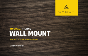 Manual Gabor TM-3771 Wall Mount