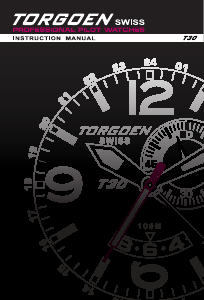 Handleiding Torgoen T20CFP45R Horloge