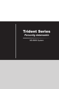Bruksanvisning MSI Trident 3 Arctic Datamaskin