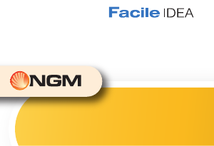 Manual de uso NGM Facile Idea Teléfono móvil