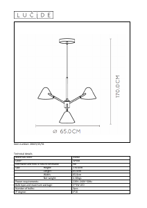 Bruksanvisning Lucide 20415/15/31 Devon Lampa