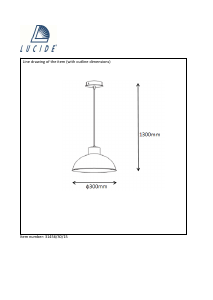 Kasutusjuhend Lucide 31456/30/15 Boris Lamp