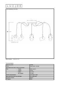 Manual Lucide 45466/05/30 Swapp Lamp