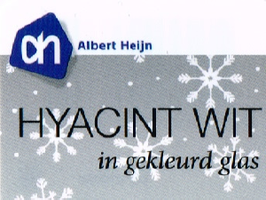 Handleiding Albert Heijn Hyacint Wit Plant