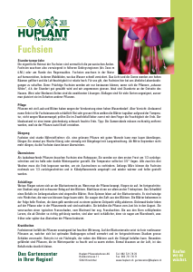 Bedienungsanleitung Huplant Fuchsien Pflanze