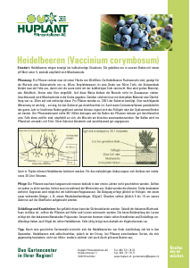 Bedienungsanleitung Huplant Heidelbeeren (Vaccinium corymbosum) Pflanze