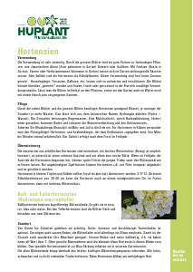 Bedienungsanleitung Huplant Hortensien Pflanze