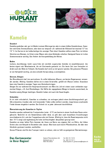Bedienungsanleitung Huplant Kamelie Pflanze