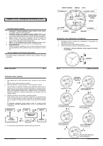 Instrukcja Lorus RW617AX9 Sports Zegarek