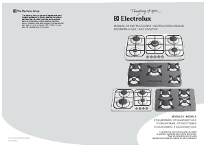 Manual de uso Electrolux ETGC24R0MKS Placa