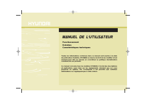 Manual Hyundai ix35 (2010)