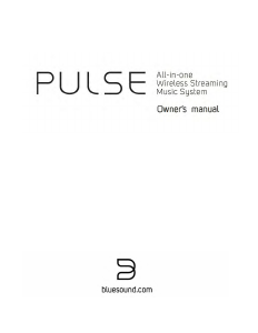 Manual Bluesound Pulse Speaker