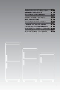 Manuale Candy CKCN6184IW/1 Frigorifero-congelatore