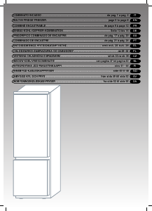 Manual Iberna IBC 313 A Fridge-Freezer