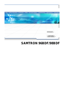 Handleiding Samtron 96BDF Monitor