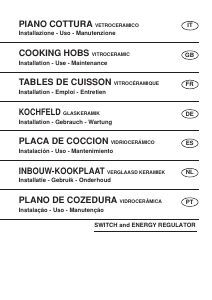 Mode d’emploi Rosières RDVE 342/1 MPN Table de cuisson