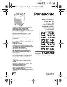 Manuale Panasonic RF-D20BTEG Radio