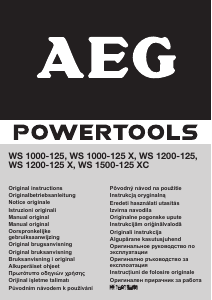 Bruksanvisning AEG WS 1000-125 X Vinkelsliper