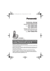 Instrukcja Panasonic KX-TG6611PD Telefon bezprzewodowy