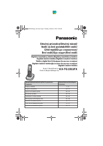 Rokasgrāmata Panasonic KX-TG1911FX Bezvadu tālrunis