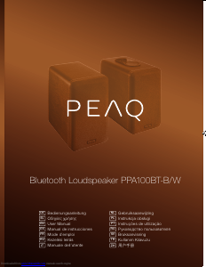 Bruksanvisning PEAQ PPA100BT-B Högtalare