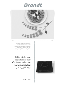Mode d’emploi Brandt TI2SLIM Table de cuisson