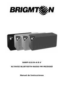 Manual Brigmton BAMP-610-R Speaker